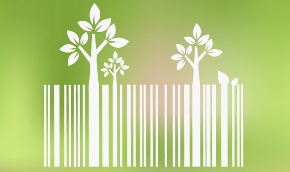 Pesquisa comprova: Consumidores preferem empresas sustentáveis